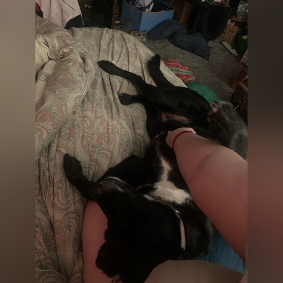 Still here! - Picture 11 of 12